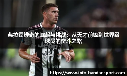 弗拉霍维奇的崛起与挑战：从天才前锋到世界级球员的奋斗之路