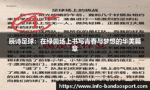 辰诗足球：在绿茵场上书写青春与梦想的华美篇章